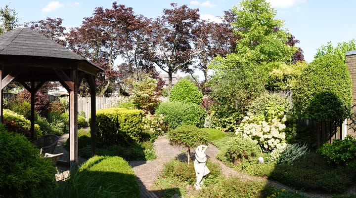 Foto 6 van Patiostraat 10