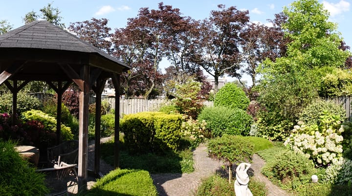 Foto 37 van Patiostraat 10