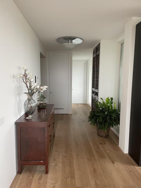 Foto 17 van Rondel 45