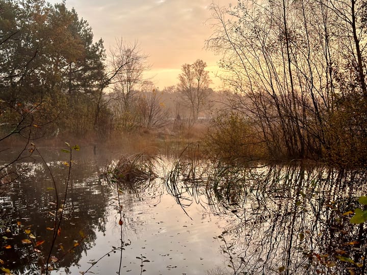 Foto 34 van Biezenloop 82