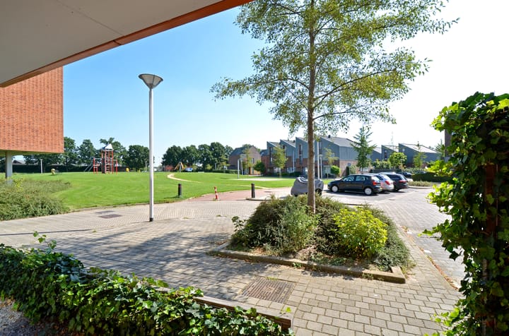 Foto 37 van Rijsenborch 365