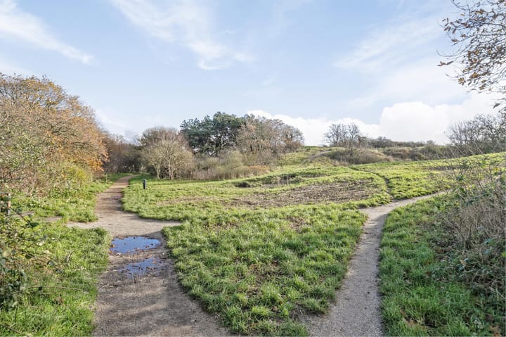 Foto 28 van Tesselsestraat 8