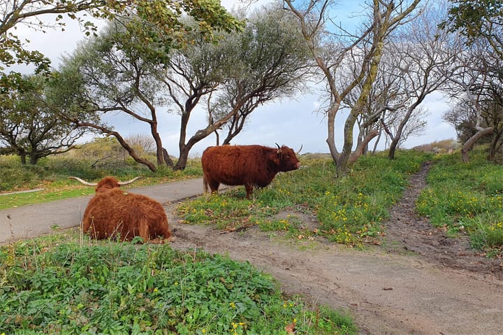 Foto 30 van Tesselsestraat 8