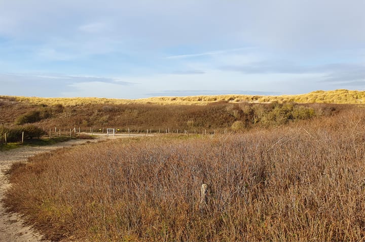 Foto 29 van Tesselsestraat 8