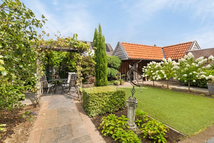 Foto 22 van Patrijs 17