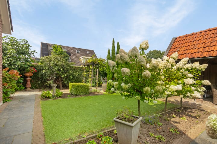 Foto 23 van Patrijs 17