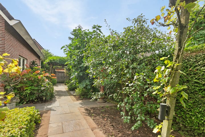 Foto 25 van Patrijs 17