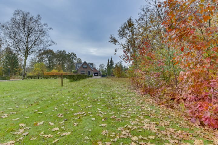 Foto 2 van Boomcateweg