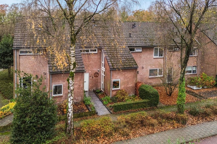 undefined main image