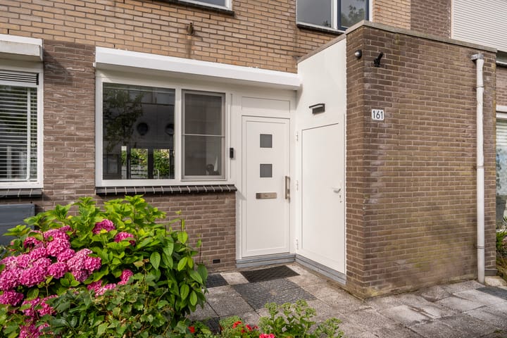 Foto 3 van Stadsmolen 161