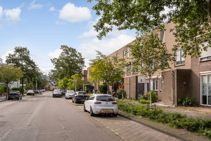 Foto 24 van Stadsmolen 161