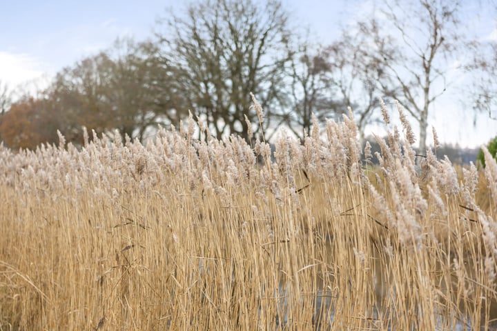 View photo 13 of Kanaaldijk-noord 9