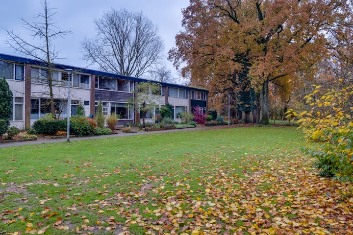 Bekijk foto 46 van Eduard Schilderinkstraat 44