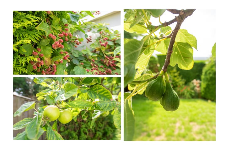 Foto 23 van Jonkheer Geverslaan 9