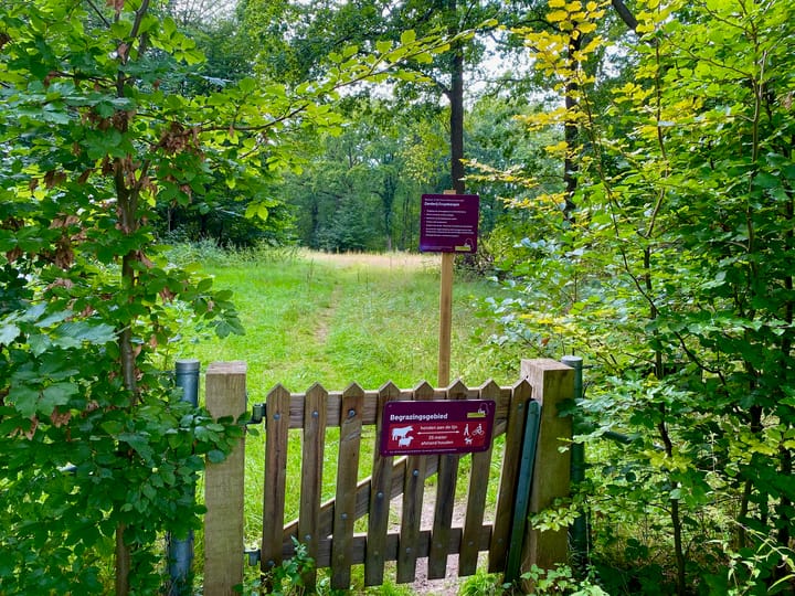 Foto 31 van Waldenlaan 7