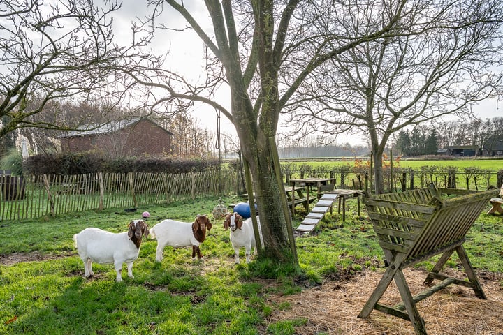 Bekijk foto 55 van Aaltenseweg 92