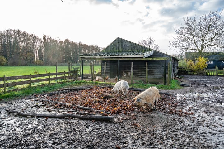 Foto 60 van Aaltenseweg 92