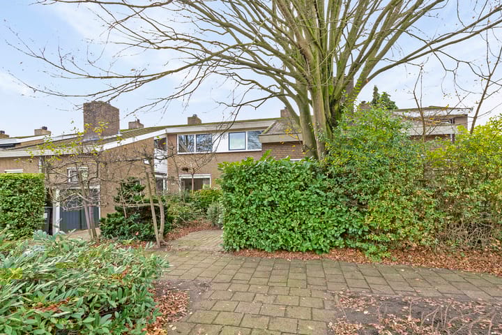 Foto 41 van Schoolstraat 57