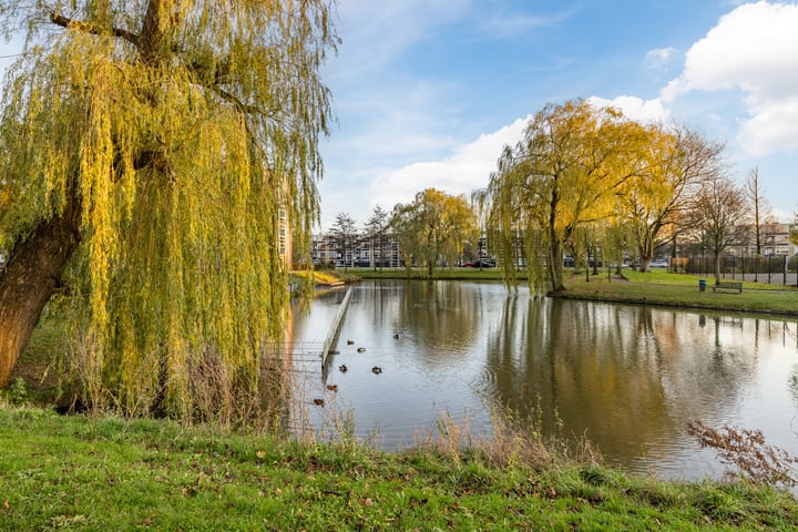 Bekijk foto 32 van G.A. Brederolaan 65-B