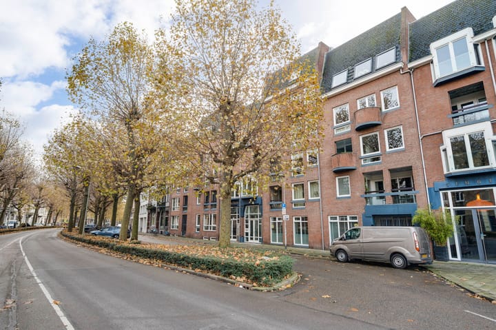 Foto 18 van Wilhelminasingel 48-F