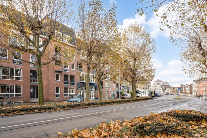 Foto 19 van Wilhelminasingel 48-F