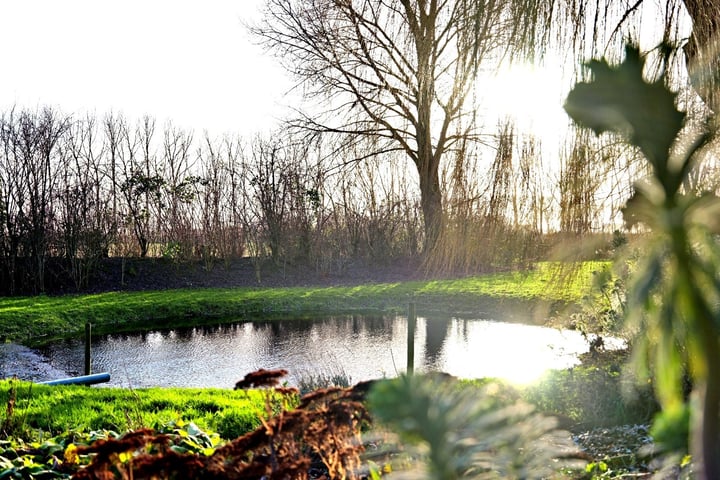 Bekijk foto 18 van Schaapweg 1