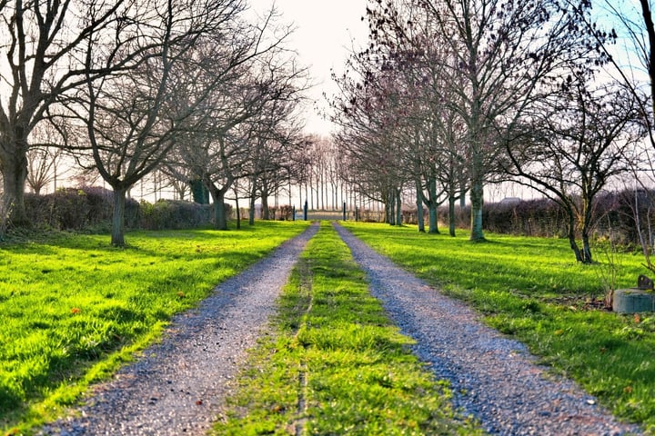 Bekijk foto 29 van Schaapweg 1