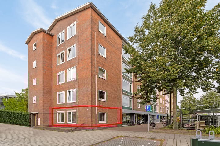 undefined main image