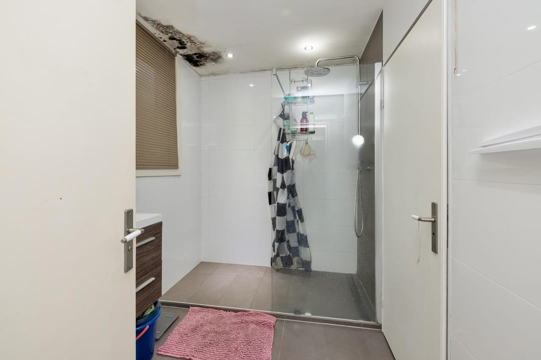 Foto 13 van Swammerdamsingel 23-A