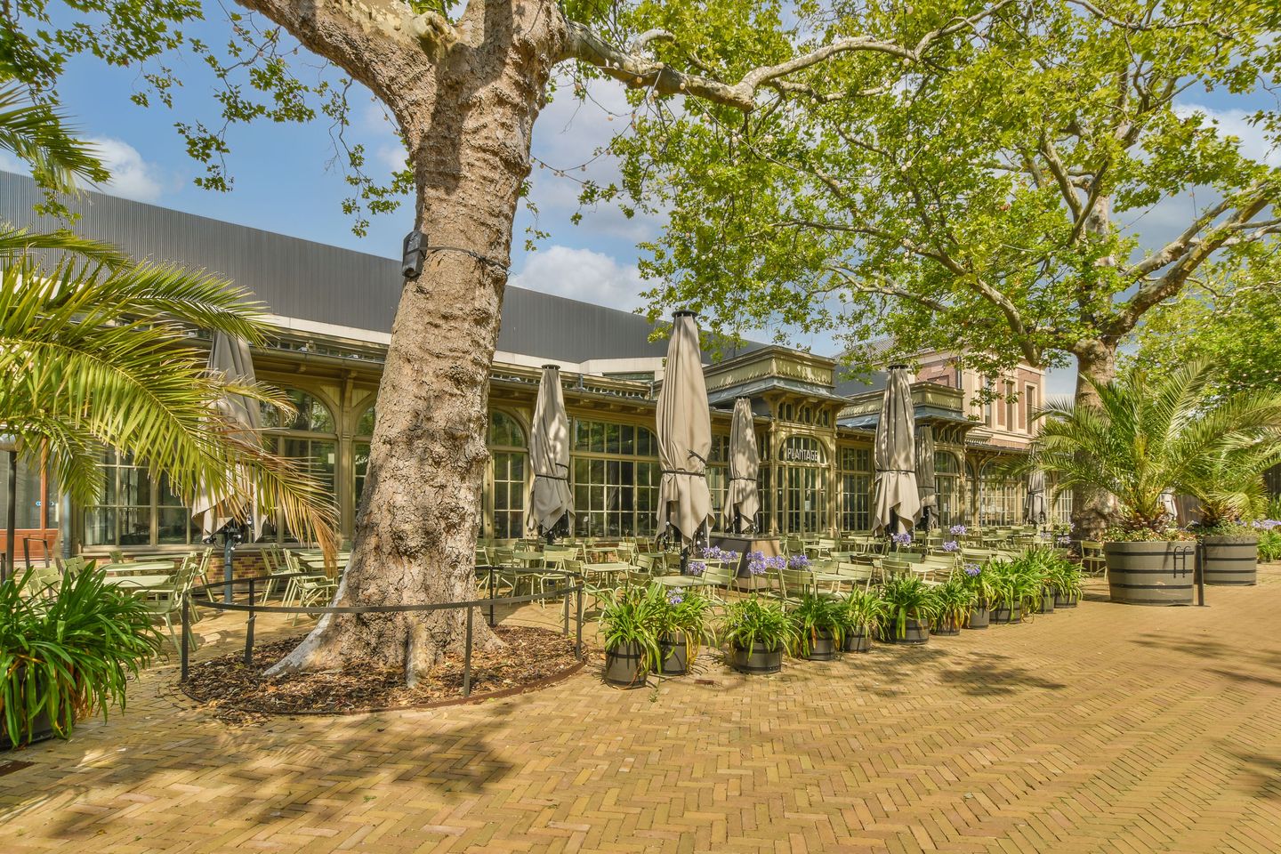 Foto 40 van Plantage Kerklaan 1-2