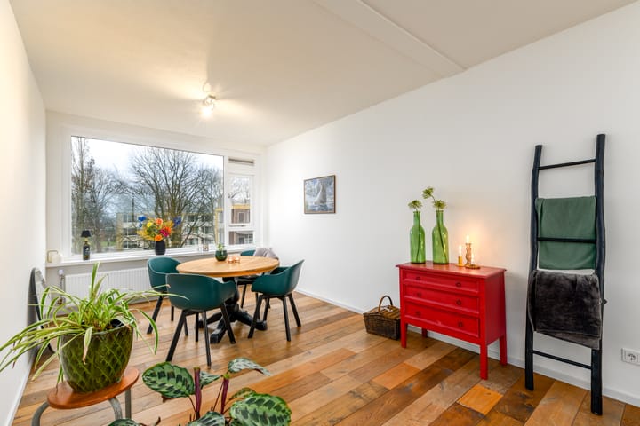 Foto 9 van Nijlânsdyk 207-D