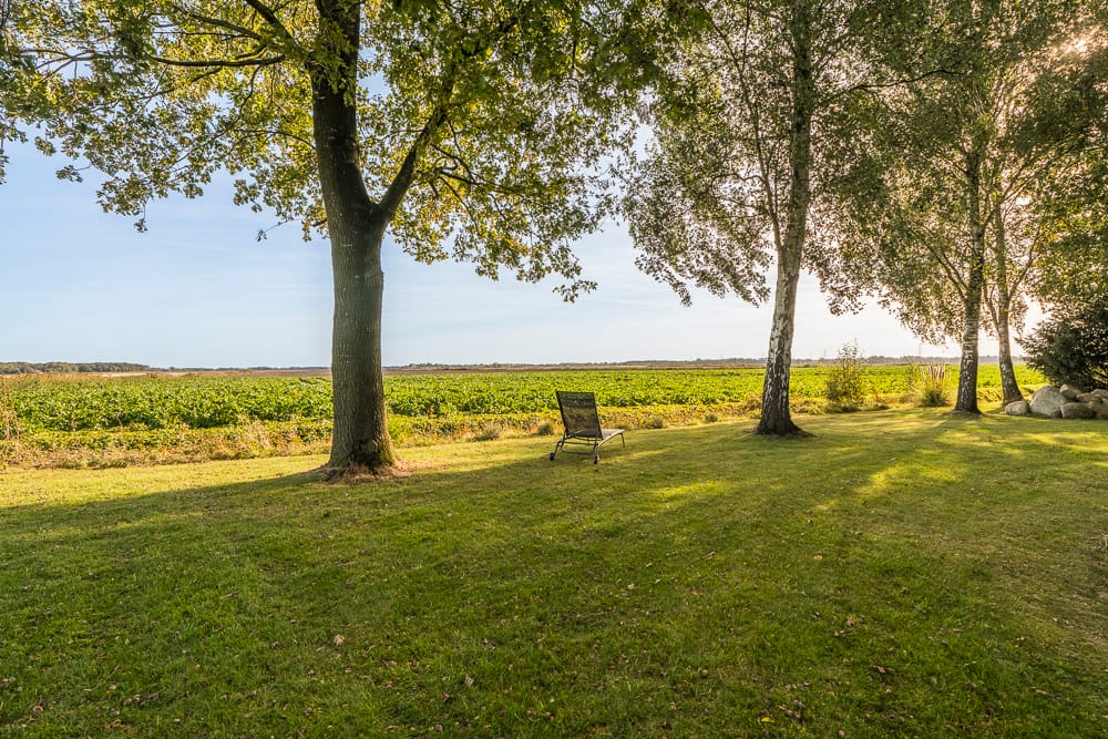 Photo 15 of Alteveersterweg 20