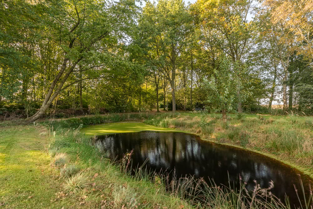 Photo 18 of Alteveersterweg 20