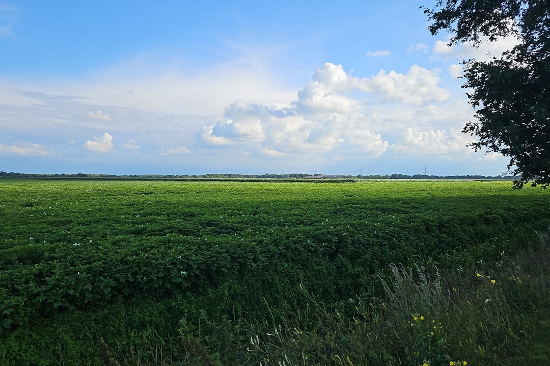 Photo 28 of Alteveersterweg 20