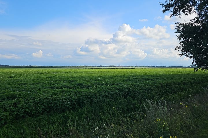 Foto 28 van Alteveersterweg 20