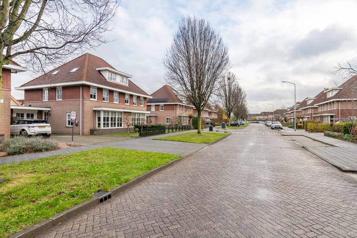 Foto 3 van Duifkruid 145