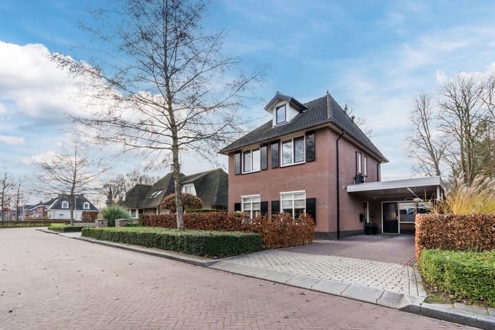 Foto 1 van Penningkruid 22