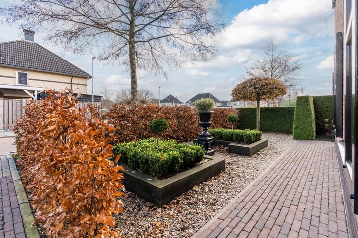 Foto 4 van Penningkruid 22