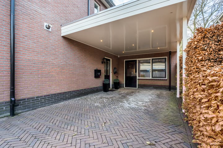 Foto 5 van Penningkruid 22