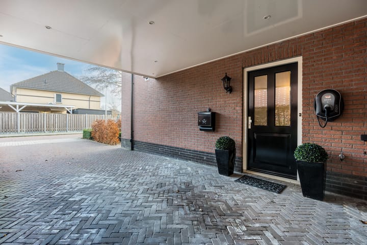 Foto 6 van Penningkruid 22