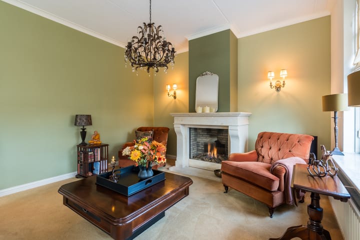 Foto 12 van Penningkruid 22