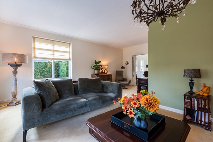 Foto 15 van Penningkruid 22