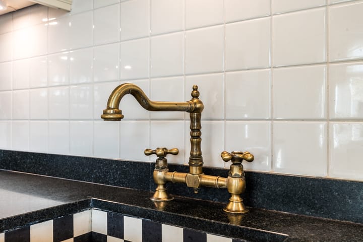 Foto 24 van Penningkruid 22