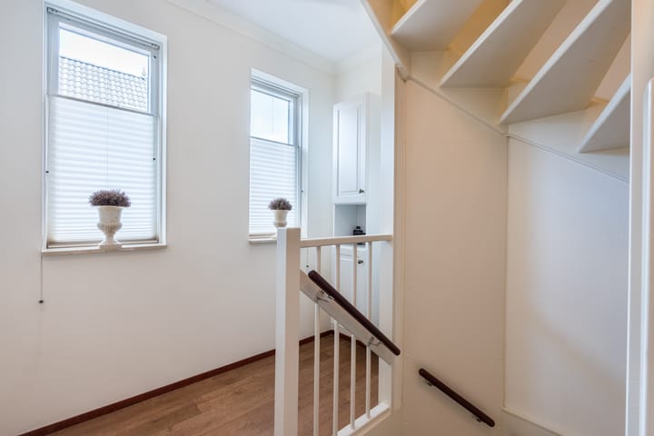 Foto 32 van Penningkruid 22