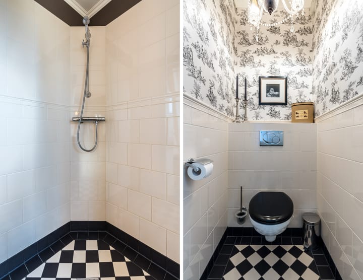 Foto 47 van Penningkruid 22