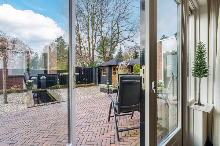 Foto 51 van Penningkruid 22