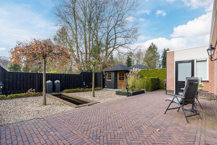 Foto 52 van Penningkruid 22