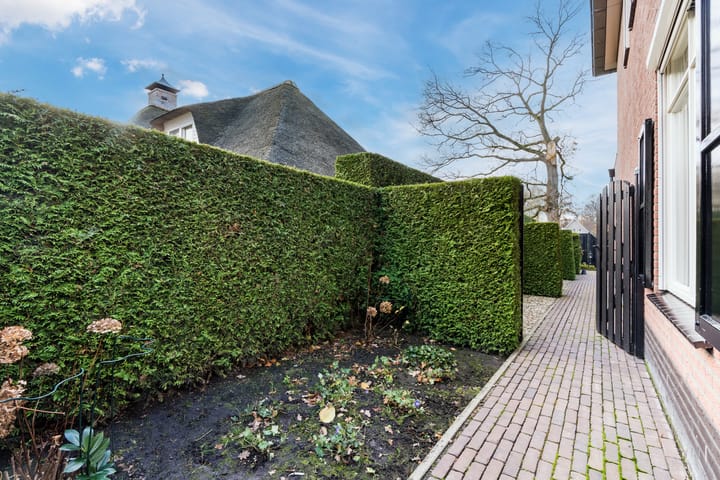 Foto 57 van Penningkruid 22