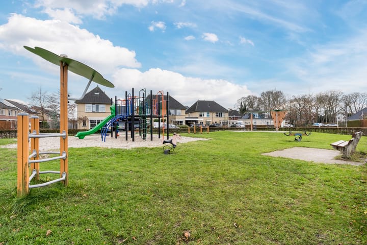 Foto 58 van Penningkruid 22