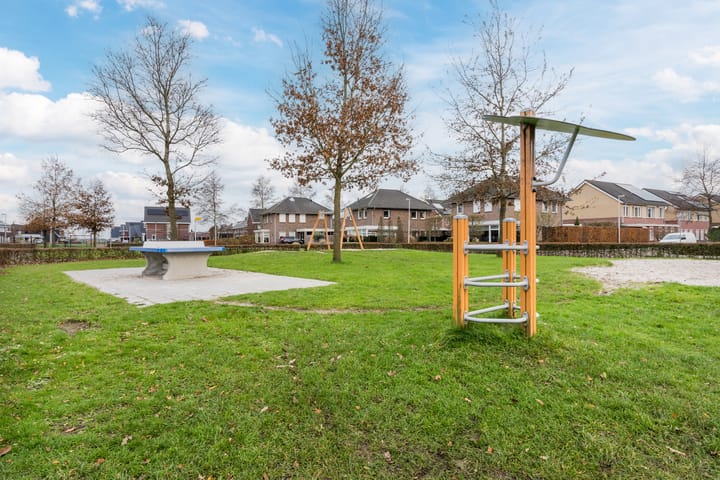 Foto 59 van Penningkruid 22